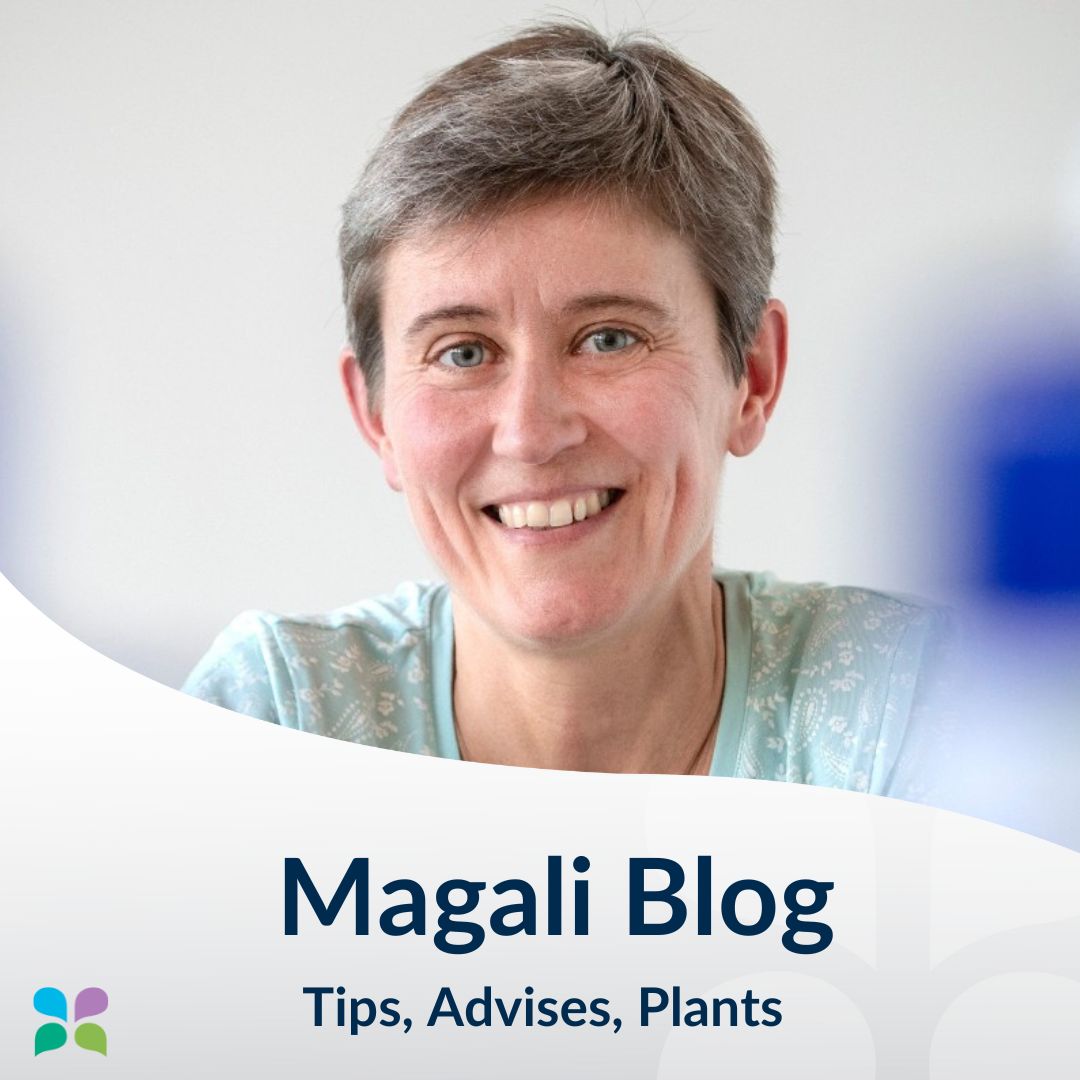 Magali Blog